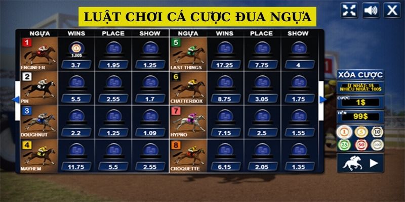 luat-choi-ca-cuoc-dua-ngua